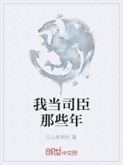 我當司臣那些年