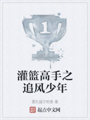 灌籃高手之追風少年