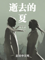 逝去的夏