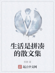 生活是拚湊的散文集