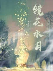 鏡花水月浮生夢