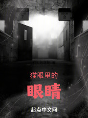 貓眼裡的眼睛