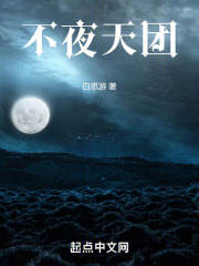 不夜天團
