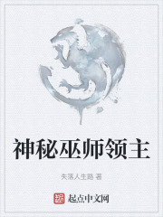 神秘巫師領主