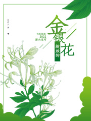 綻放的金銀花兒