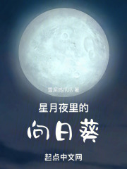 星月夜裡的向日葵
