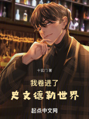 我卷進了史文德勒世界