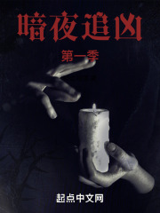 暗夜追兇第一季