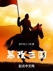 暴改三國