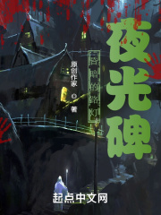 昏暗的路燈之夜光碑