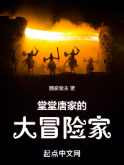 堂堂唐家的大冒險家