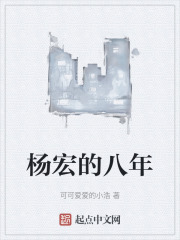 楊宏的八年