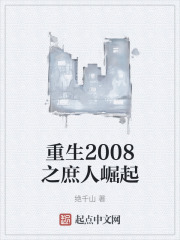 重生2008之庶人崛起