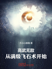高武無敵，從滿級飛石術開始