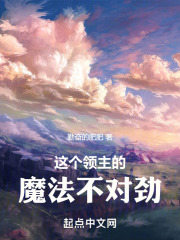 這個領主的魔法不對勁