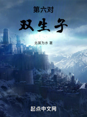 第六對雙生子
