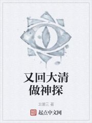 又回大清做神探