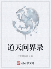 道天問界錄