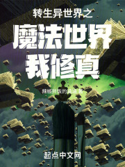 轉生異世界之魔法世界我修真