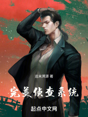 完美偵查係統