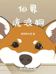 仙界流浪狗