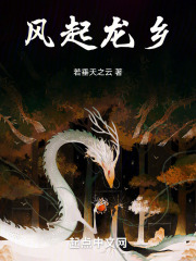 風起龍鄉